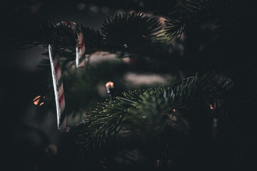 Kartka świąteczna z miejscem na tekst. Laska lukrecji w świątecznych kolorach zawieszona na drzewku świątecznym. 
