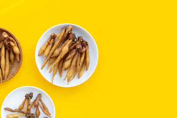 Finger root on yellow background.