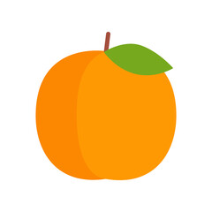Fresh apricot icon. Summer fruit. Healthy and organic food.