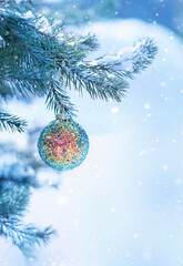 Fototapeta na wymiar beautiful bright shiny ball on snowy christmas branch, abstract natural background. festive winter season. Christmas and new year holidays. copy space