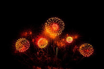 Colorful fireworks,A fireworks display against the night sky