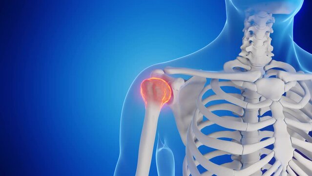 3d rendered medical animation of a man's shoulder joint