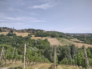 Panoramic view of the valley of Barolo in summer