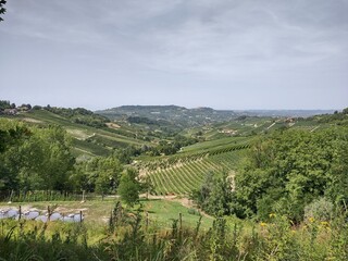 Fototapeta na wymiar Panoramic view of the valley of Barolo in summer