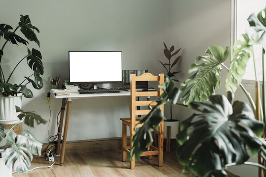 Desktop workspace with connect to laptop with HDMI cable split screen mock up monitor leaving space for text And stacks of books on white table, pine chairs Decorated lamp lights and plants in pots.