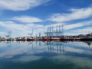 Gruas del puerto