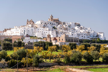 Fototapeta premium view of the city Ostuni