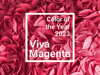 Textile with roses in red magenta color of year 2023 Viva Magenta. Demonstrating color of 2023 year...