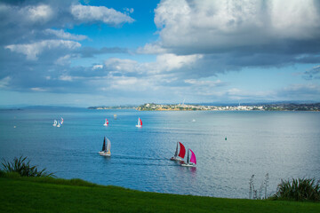 Bright sails of racing boats speeding across calm waters of Auckland Harbour on a beautiful winter...