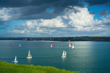 Sailing boats racing over calm waters of Auckland Harbour on a beautiful winter day. North Island,...