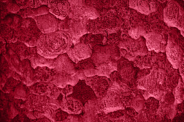 Viva magenta trendy color palette. Tree bark texture. New color of the year 2023. Red magenta tones and shades. Magenta floral background.  - obrazy, fototapety, plakaty