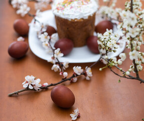 Easter cake, painted egg and blooming branch, spring composition on wooden table
