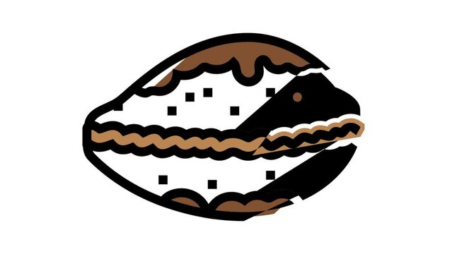 cowrie sea shell beach color icon animation