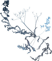 Watercolor winter illustration with dried frozen floral bouquet