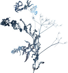 Watercolor winter illustration with dried frozen floral bouquet