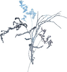 Watercolor winter illustration with dried frozen floral bouquet