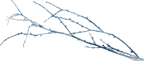 Watercolor winter illustration with dried frozen plant