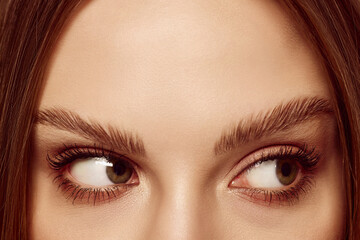 Fototapeta premium Sideways glance. Close up of beautiful brown female eyes. Perfect trendy eyebrow. Concept of vision, contact lenses, trendy eyebrow makeup concept.