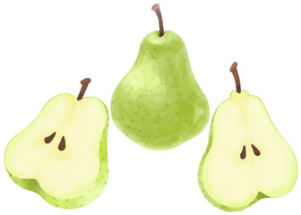 水彩で表現した洋梨のイラストセット／Pear illustration set expressed in watercolor