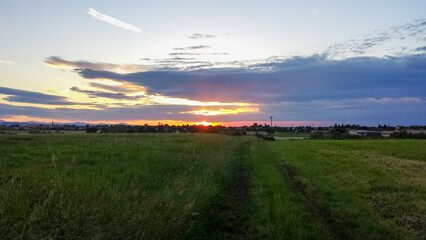 Fototapeta na wymiar beautiful sunrise sunset with sun rising between crop fields