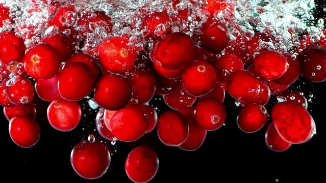 Fresh cranberries falling into water, black background. Super slow motion filmed on high speed cinematic camera at 1000 fps