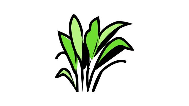 amazon sword color icon animation