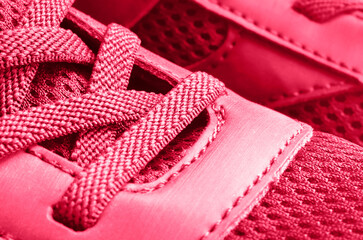 Close up shot of elegant sports shoe. Viva magenta
