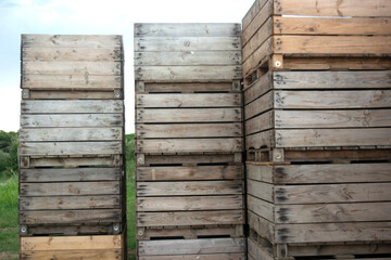 Palets  y cajas de madera para guardar apilados en el campo