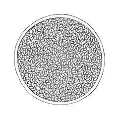Rice. Cereal grain in plate, bowl. Hand drawn vector sketch illustration.