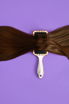 Brown hair in splits. Hair care concept. Perfect hair. Place for text