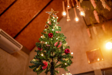 Christmas tree in the house