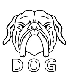 illustration of a bulldog's face for a coloring book;