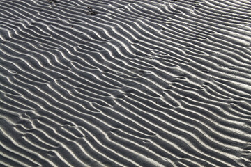 Abstract seamless stippled halftoned waves pattern on the Mexican coasts. Ripples in the sand.  An empty beach on Holbox Island in the Mexican state of Quintana Roo, Yucatán Peninsula, Mexico.