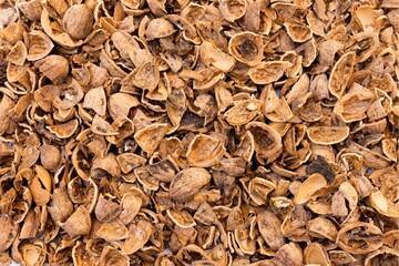 Dried walnut shells as bio and economic ecological fuel