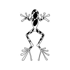 Frog silhouettes vector image
