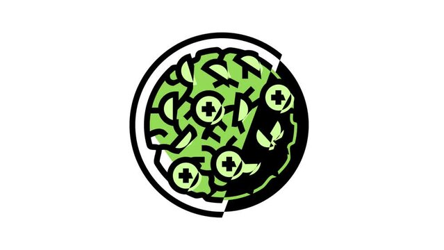 salad cucumber color icon animation
