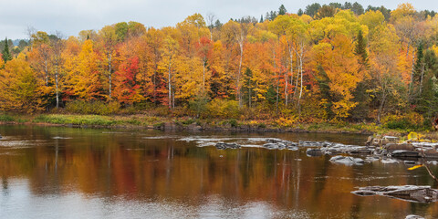 Forest with fall colors at La Mauricie national park in Quebec. Canada.