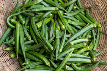 Group of Okra, lady finger in local market for sale.