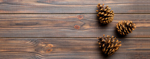 Christmas pine cones on colored paper border composition. Christmas, New Year, winter concept. Flat lay, top view, copy space