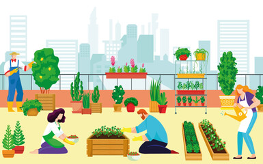 Urban roof landscaping kitchen garden people together organic vegetable, farmer character grow plants cityspace flat vector illustration.