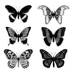 Obraz premium Tropical butterflies set: Attacus Atlas, Monarch, Blue Moon, Driada (Paper Rice), Blue Morpho, Papilio, Swallowtail. Drawing insects. Hand drawn vector sketch detailed illustration.