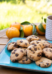 homemade chocolate chip cookies on natural background