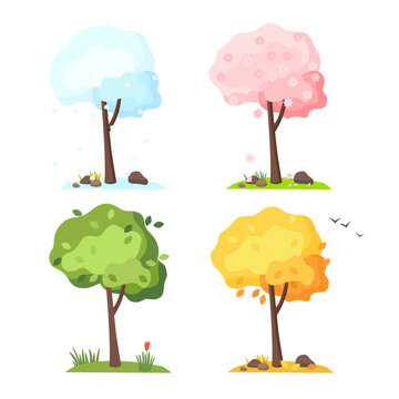 Trees at different times of the year - spring, summer, autumn, winter. Vector cartoon flat illustration.
