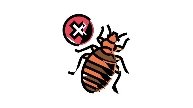 bed bug treatment color icon animation