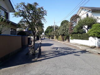 Naklejka premium Japanese streets and parks from Tokyo, Japan