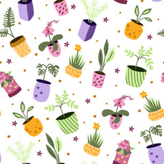 Seamless pattern with house plants. Vector illustration.