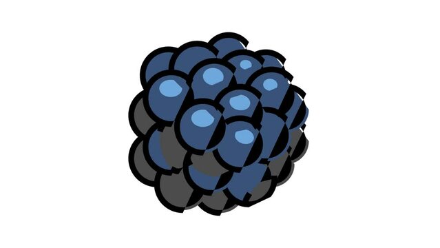 blackberry juicy berry color icon animation