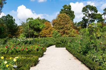 La Rosaleda in El Retiro park. Madrid - Spain