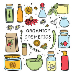 ORGANIC COSMETICS COLOR Hand Drawn Sketch Set For Design And Farmaceutics Vector Collection Of Medicinal Plants Their Elements And Packages Finished Drugs