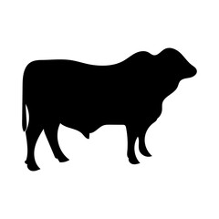 beef cattle icon